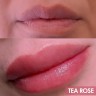 Perma Blend Tea Rose - Inga Babitskaya Lips Set пигмент для пм губ
